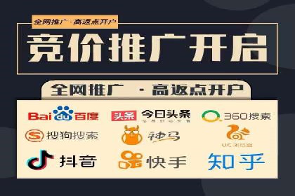 百度推广的投放策略与效果分析