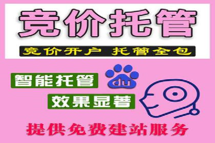 谷歌竞价广告与SEO结合的营销案例解析